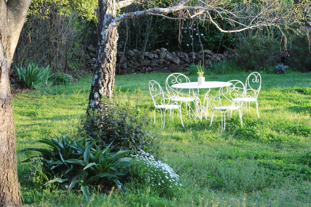 Mas Les Romarins, 10 Min D'Uzes, Piscine Et Grand Jardin Clos, Jeux, Nid De Repos Et Base Pour Activites Dans Le Gard (Adults Only) Luaran gambar