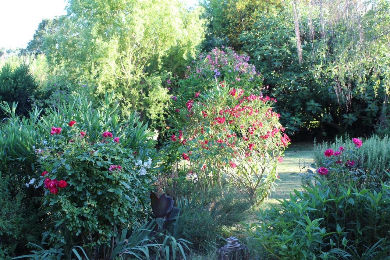 Mas Les Romarins, 10 Min D'Uzes, Piscine Et Grand Jardin Clos, Jeux, Nid De Repos Et Base Pour Activites Dans Le Gard (Adults Only) Luaran gambar